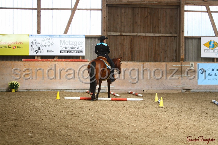 26-ApHC GT_069.jpg
